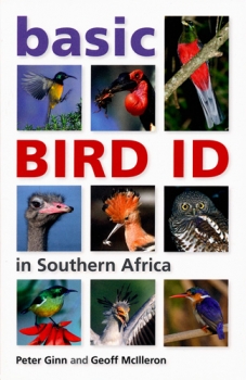 Basic Bird ID in Southern Africa