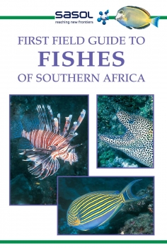 First Field Guide to Fishes of Southern Africa