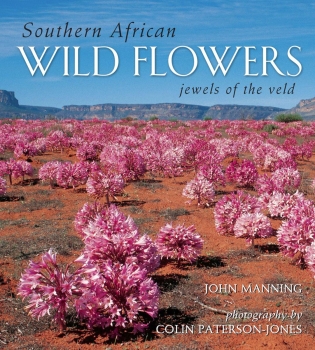 Southern African Wild Flowers - Jewels of the Veld