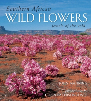 【中古】 Field Guide to Fynbos/PENGUIN RANDOM HOUSE SOUTH AFR/John Manning Field Guide to Fynbos by Manning, John | Penguin Random