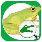 Sasol Young Explorer - Frogs